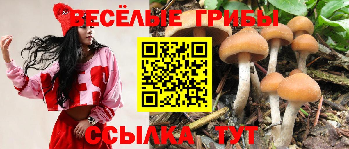 Галлюциногенные грибы Psilocybine cubensis  Вход с VPN  Кстово 